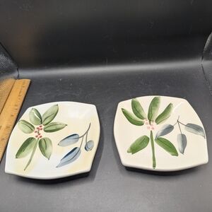 Set of 2 Hand Painted Ceramic Plates With Floral Designs